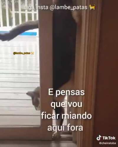 Não é original mas achei engarçado(ta escrito errado de propósito)creditos no final mas peguei do TIK TOK @cheiratoba