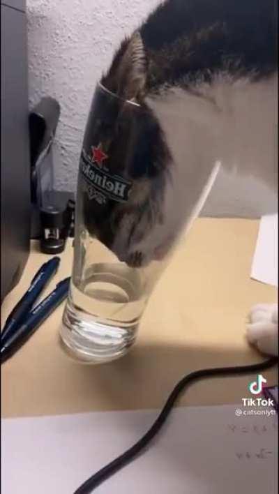 Just having a drink of water