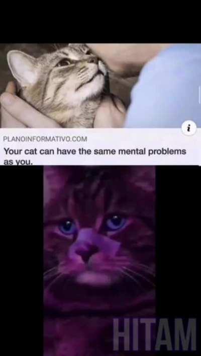 I may be a monster but I don't want my cat to suffer like me