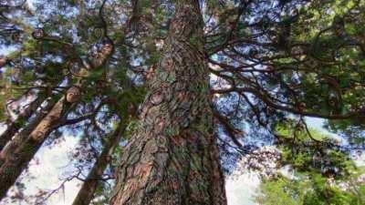 It comes in waves. Right when you think you aren’t tripping anymore another wave comes and hits you