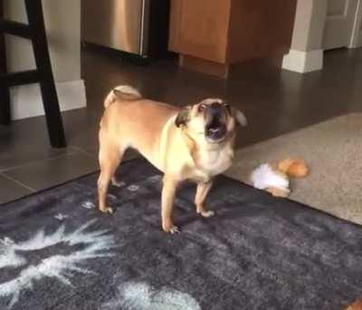 “Hello, yes I’m calling because I need a replacement part for my dog, his voice is malfunctioning”