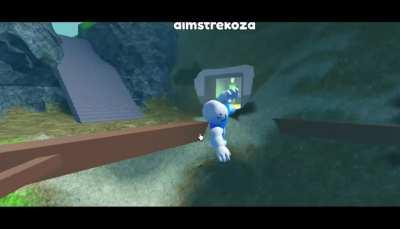 dims.exe has stopped working