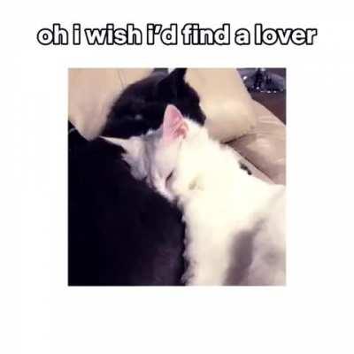 I’m straight up depressed but I won’t admit it