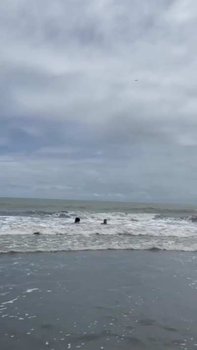 beautiful day on the beach