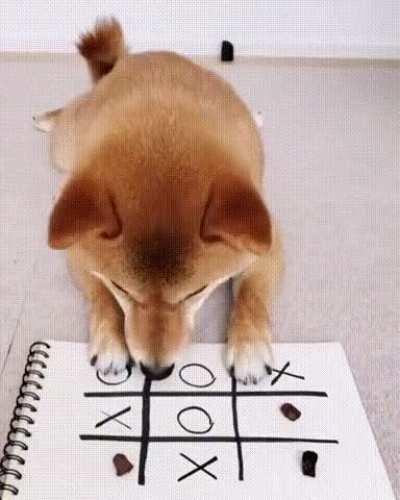 Smart Doggie Ain't It