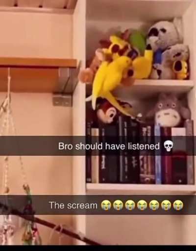 she warned him, he didn't listen to her