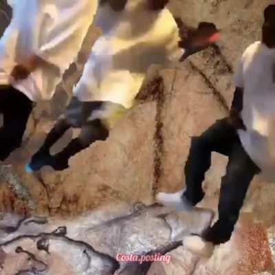 Caballo homosexual de las montañas