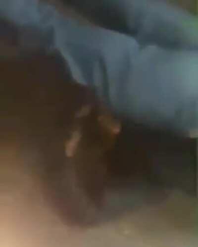 Makes no fucking sense...