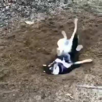 Holediggingdog.exe has stopped working