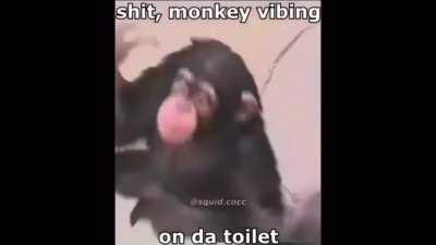 monke do be vibin