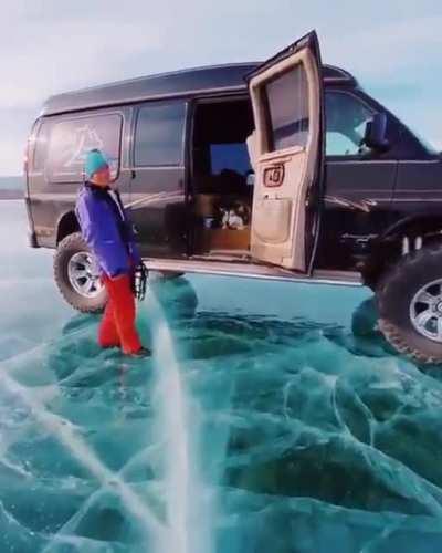 Finally the dog makes it