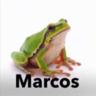 Marcos