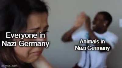 Animal welfare in Nazi Germany was very weirdly progressive