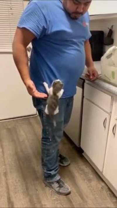 If you haven't seen this yet , here it is!