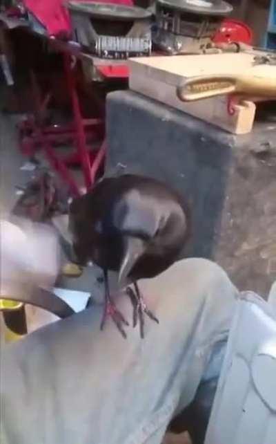 Did i say you can stop?