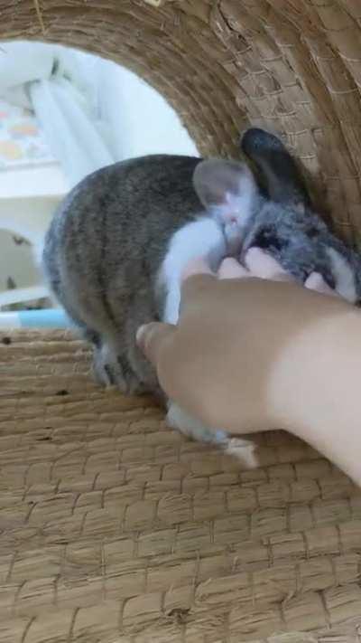 Sound on for Grumpy Petrol, but beware of chaos at the end!!