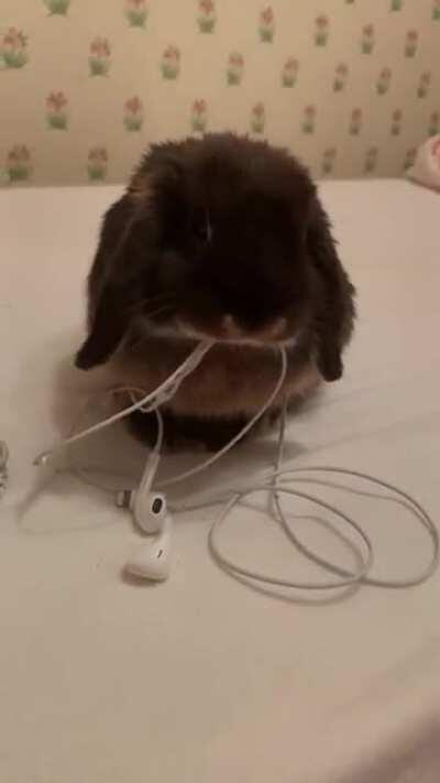 What brand of hay is this? 🤬