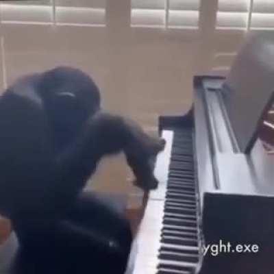 Another contribution to 195