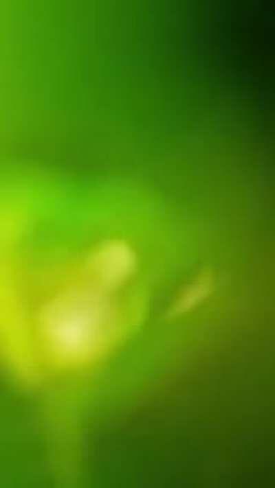 Lighting fireworks in your backyard.