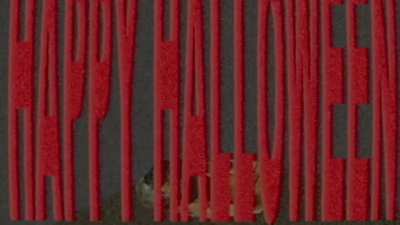 Here’s a little pumpkin I made. Happy halloween!