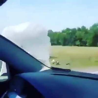 My parachute people need me