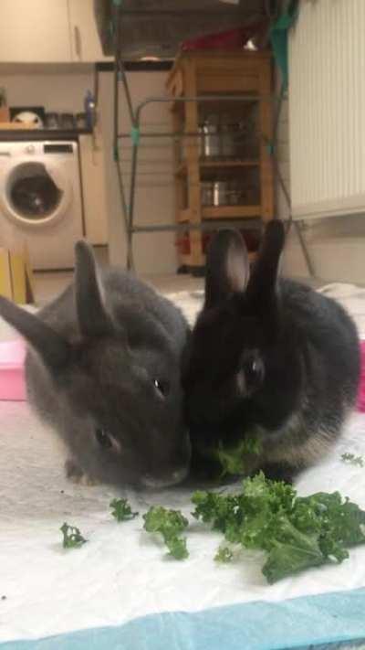 ‘Mine is nice, but I’d rather have yours’