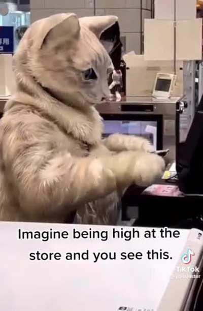 This would have me bugging out at the store!