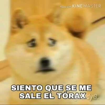 Perrito jajaja