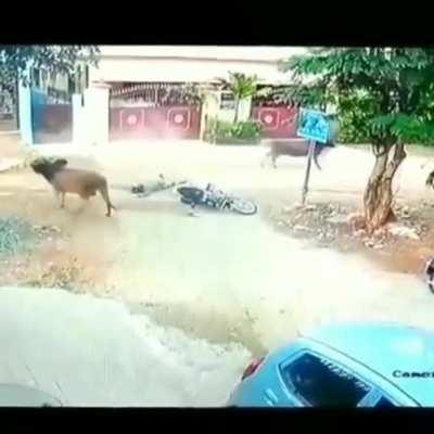 Was I coming the wrong way?