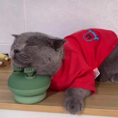 Love me some scritches