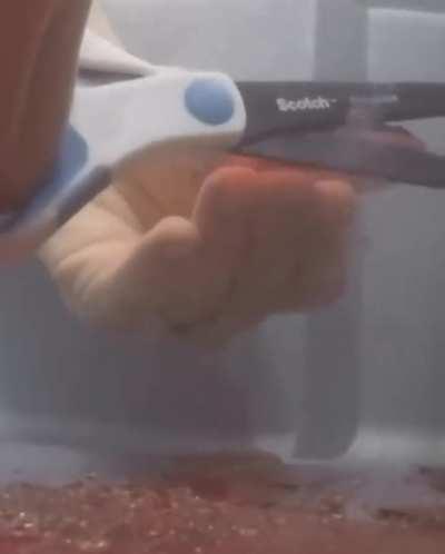 The Rehbinder effect, a phenomenon that makes cutting glass with a scissors underwater possible