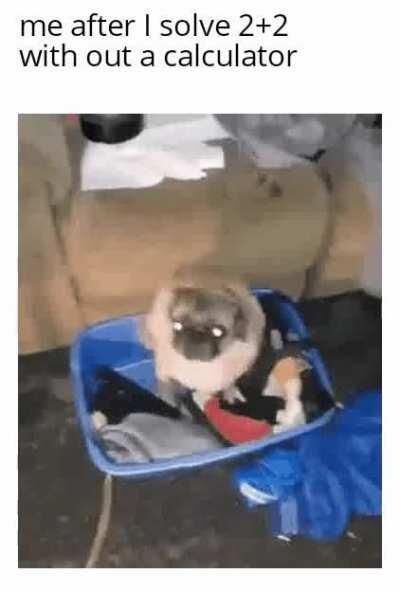 This is where the fun begins