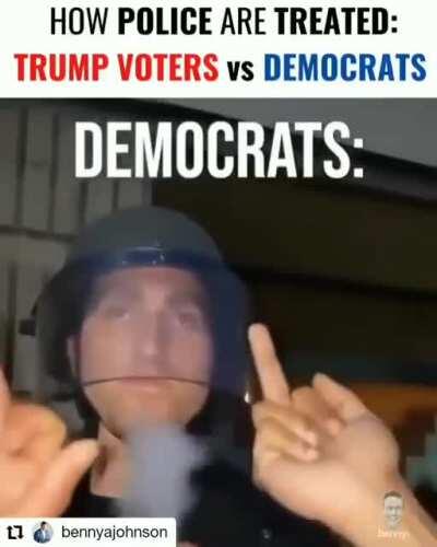Trump Voters vs Democrats