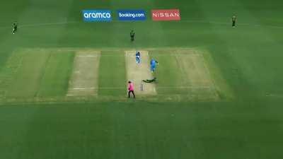 Goosebumps guarantee!!!!