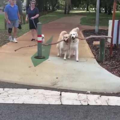 I didn't think they'd get it