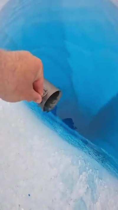 How Fresh Do You Think it Tastes ?