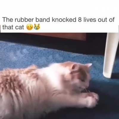 That why cat’s have 8 lives