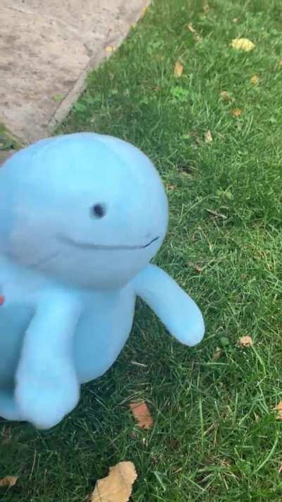 he’s 4x weak to grass