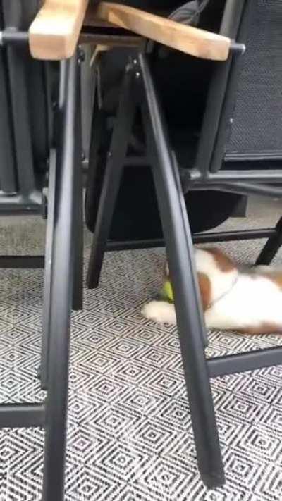 This is my new best boiii that we got for my 30th bday. I’m done.