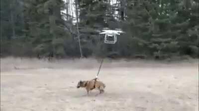 Pov: te vas a brazil procedo a XD