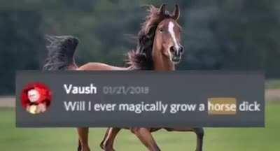 vaush the horse 