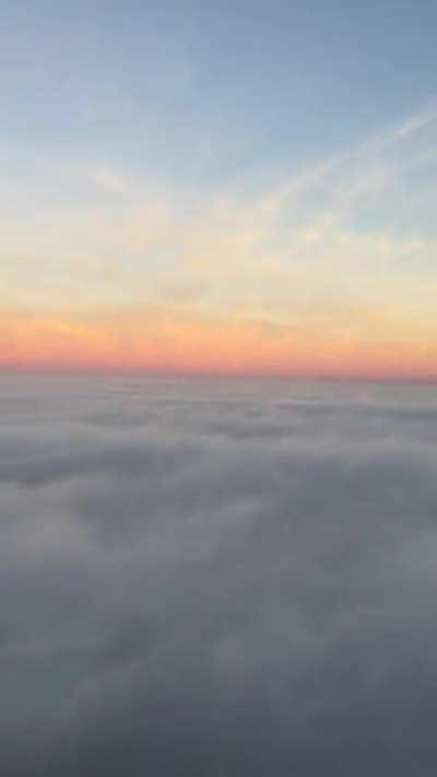 Vaughan this morning!