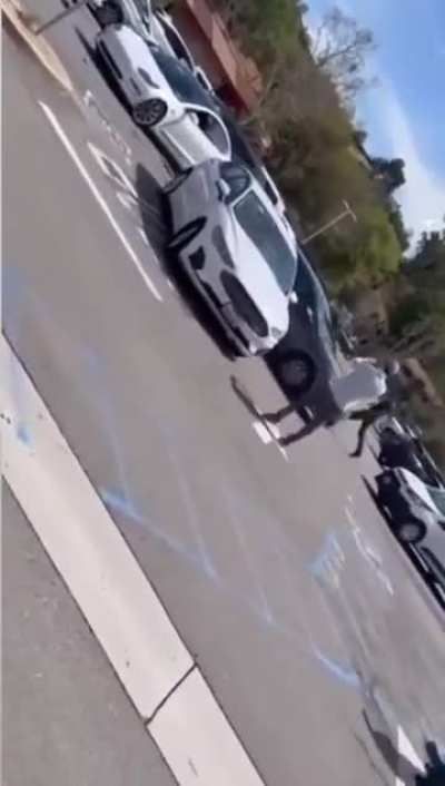 Woman shoplifting attempts the Great Escape in her car, almost kills a few folk, gets tackled by bystanders.