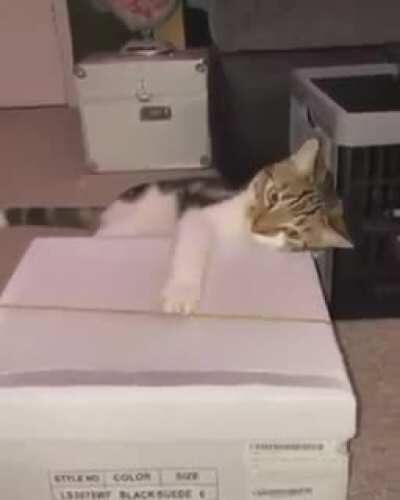 Very musical ... 😁