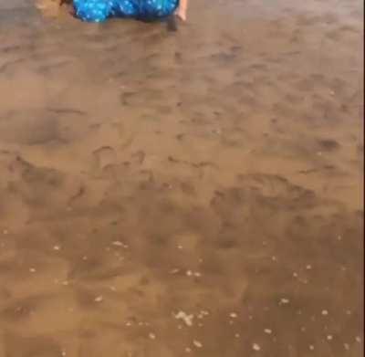 WCGW playing in an inch of water