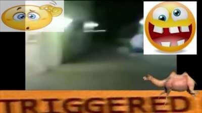 😱😱😱😱😱😆😆😆😂😂😂😂😱😱😆