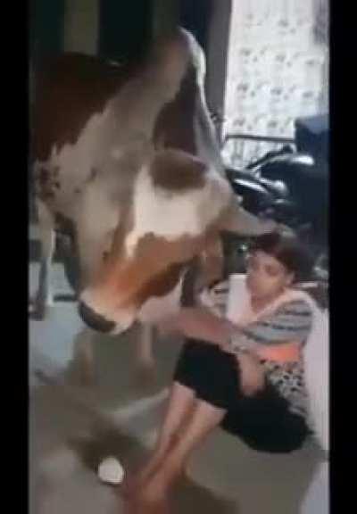 Love needs no language