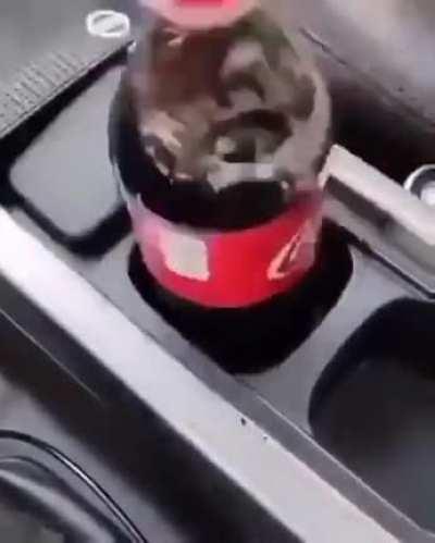 Nissan knows how to design a cupholder 💯