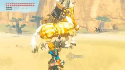 Defeating Golden Lynel with Boomerangsss