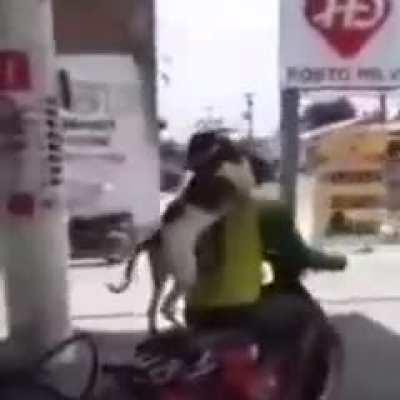 Ownn o nenezineo ❤️